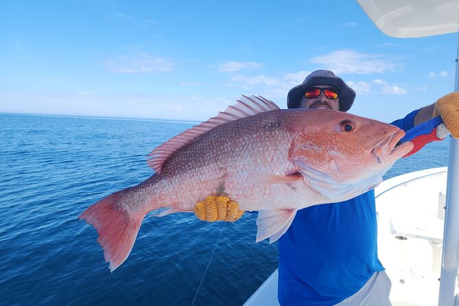 Jacksonville Private Daytime Boat Tour in for up to 6 Passengers - Company Information
