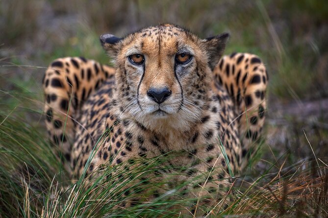 Jukani Wildlife Sanctuary Admission With Guided Tour - Cancellation Policy