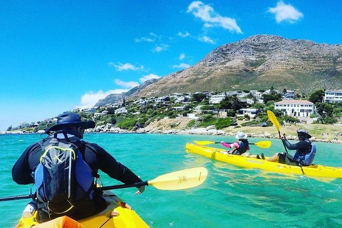 Kayak to the Penguins in Simons Town - Inclusions