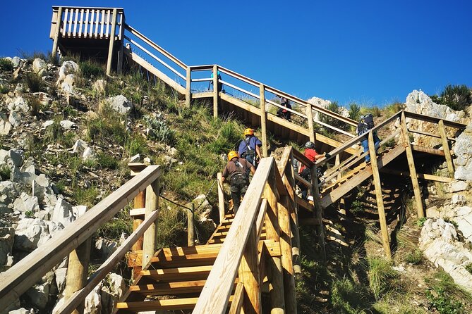 Knysna Small-Group Zipline Tour  - Plettenberg Bay - Cancellation Policy