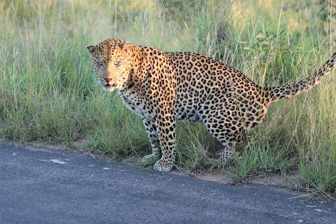 Kruger National Game Park Three Day PRIVATE Tour - Questions and Assistance