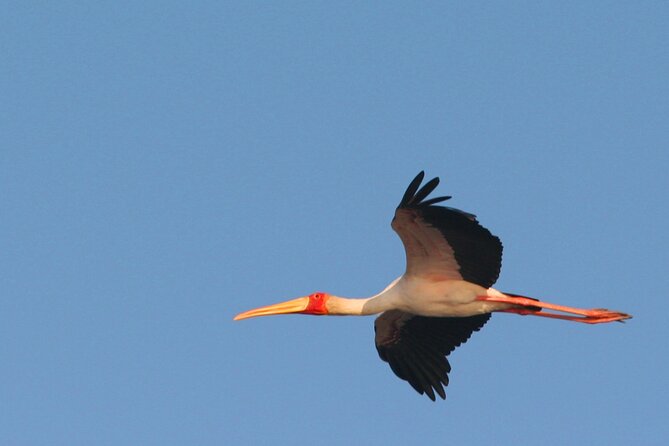 Kruger National Park in a Open Safari Vehicle - Full Day - Additional Information and Product Details
