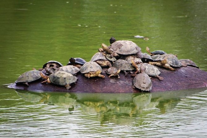 Kruger National Park - Private 3 Day, 2 Night Safari Trip. - Common Questions