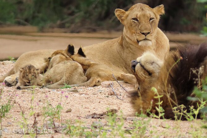 Kruger National Park - Private Full Day Safari Trip. - Customer Reviews