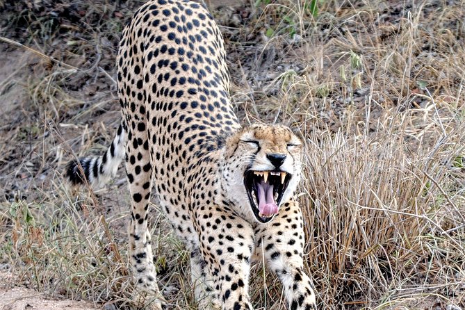 Kruger Park Safari: Guided Day Tour From Nelspruit - Cancellations and Refund Policy