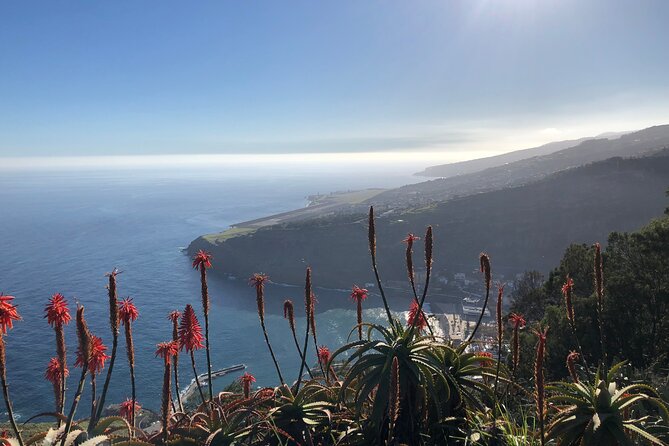 Madeira Safari - East of the Island - Guides Expertise