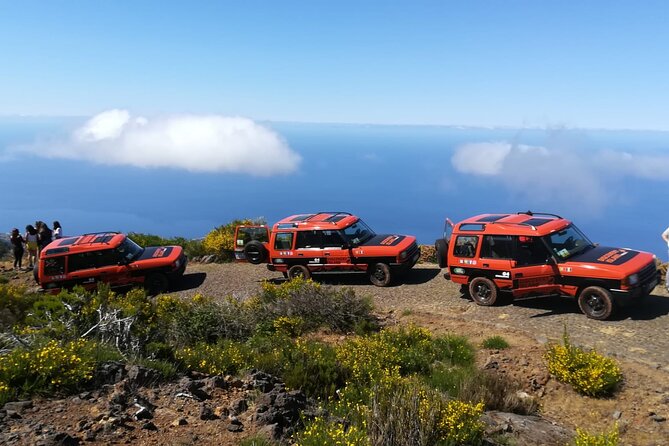 Madeira Safari - West Of The Island - Tips for a Memorable Safari Experience