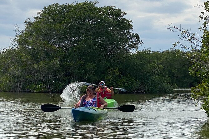 Manatee and Dolphin Kayak Tour - Tour Experience Highlights