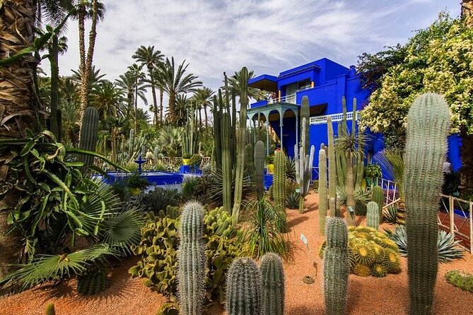 Marrakech Full-Day Guided City & Gardens Tour - Negative Review Example