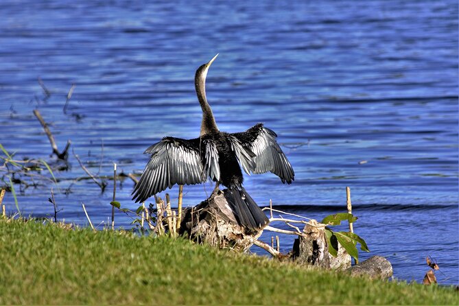 Miami Full Day Self-Guided Sightseeing Tour W/ Cruise and Everglades Airboat - End Point and Cancellation Policy