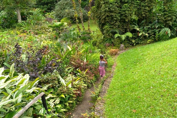 Montreal Gardens Tour in St. Vincent  - Kingstown - Other Highlights on the Tour