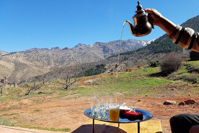 Moroccan Wine Tasting From Marrakech at Atlas Mountains & Desert and Camel Ride - Camel Ride in the Agafay Desert