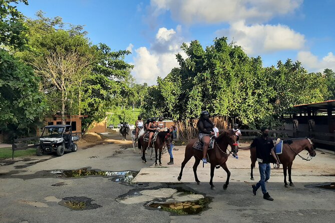 Oneway Transfer San Juan to Ceiba: Ferry, Vieques/Culebra Airport - Expectations and Requirements