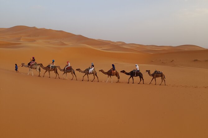 Overnight Camel Trek in Merzouga Dunes - Pricing