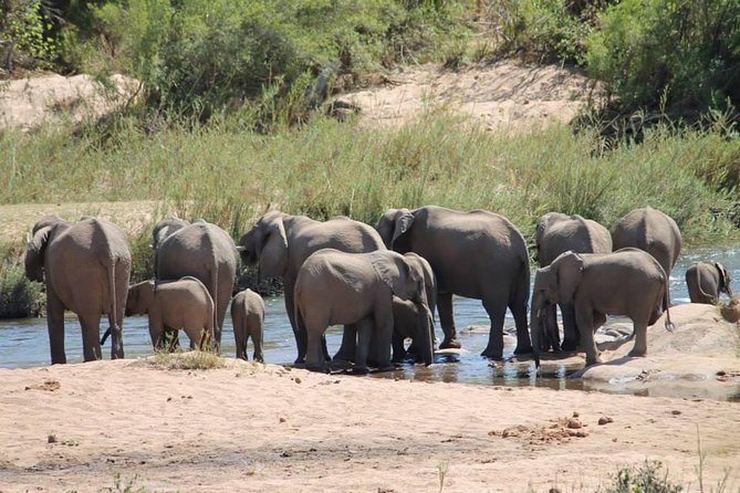 Overnight Kruger National Park Classic Camping Safari - Cancellation Policy