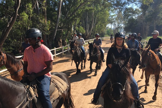 Paarl Horseback Riding Tour  - Stellenbosch - What To Expect