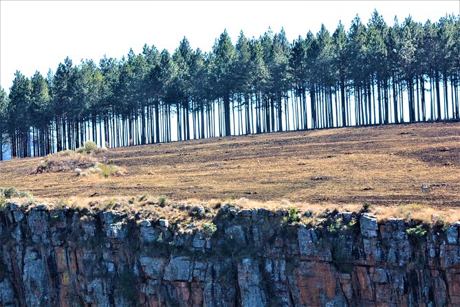 Panorama Route Guided Day Tour & Gorge Lift From Hazyview - Traveler Reviews