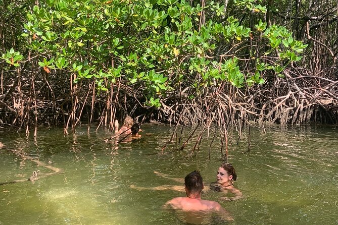 Paradise Island Cruise Snorkeling Excursion - Affordable Pricing Options