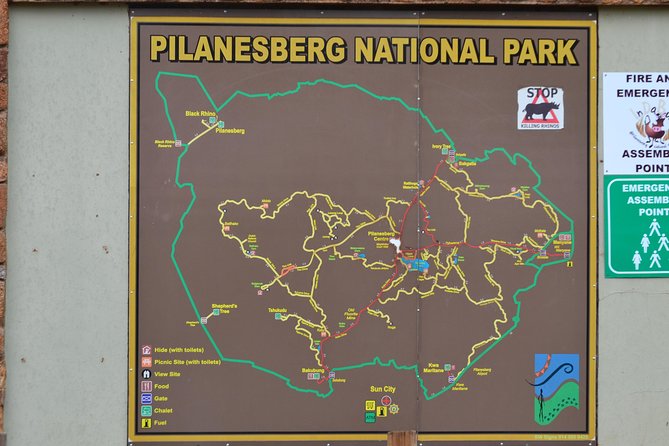 Pilanesberg National Park Day Tour From Pretoria, Every SATURDAY - Customer Reviews and Ratings