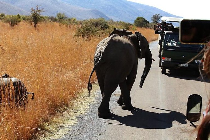 Pilanesberg National Park Full Day Safari From Johannesburg - Common Questions