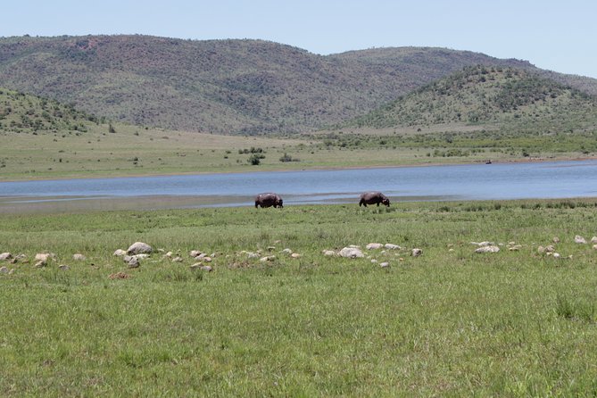 Pilanesberg National Park Full-Day Tour From Johannesburg - Inclusive Amenities