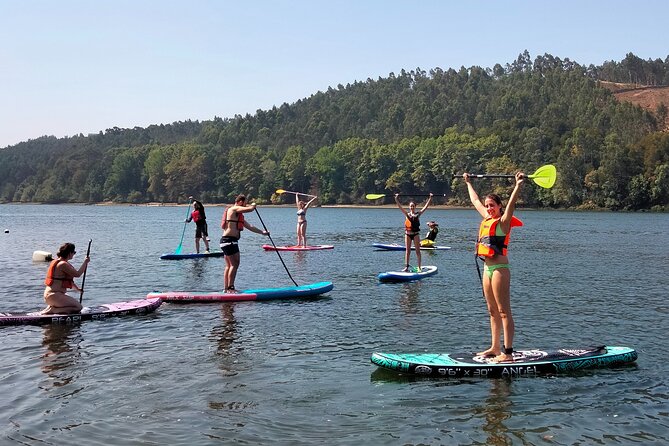 Porto Private Stand-Up Paddle River Tour With Pickup - Weather and Traveler Requirements