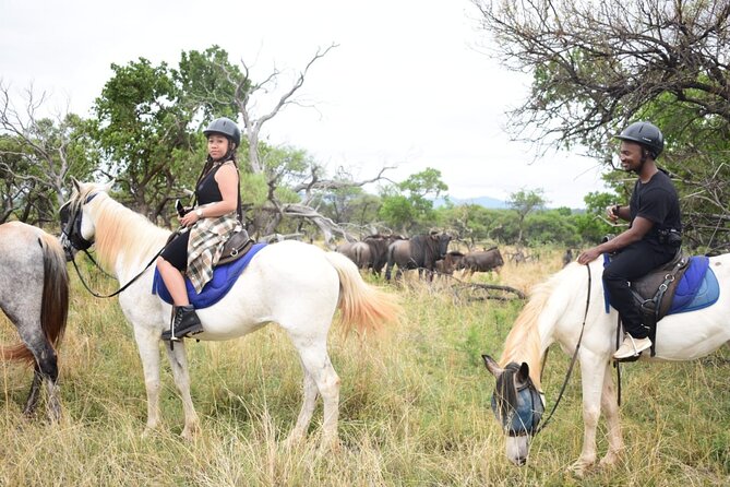Pretoria Private Half-Day Horseback Riding Safari - Common Questions