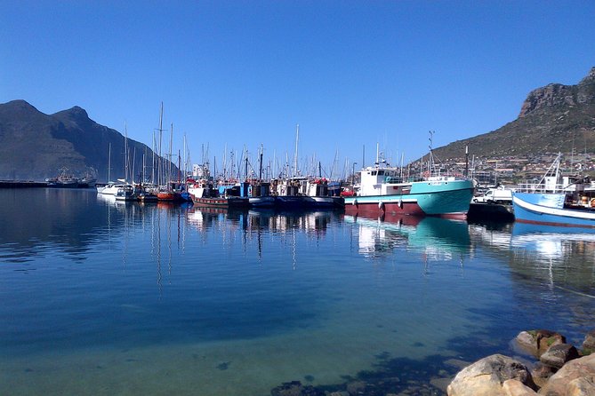Private Cape Peninsula Kirstenbosch Garden Full Day Guided Tour - Traveler Reviews and Recommendations