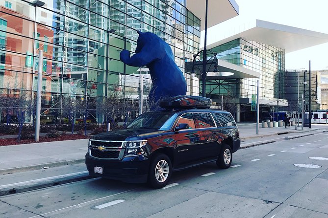 Private Car Service From Vail or Beaver Creek to Denver Intl Airport (Den) - Overview of Private Transfer Service