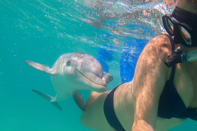 Private Catamaran Tour With Snorkel in Providenciales - Inclusions and Amenities