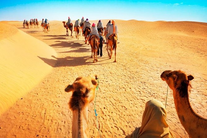 Private - Evening Desert Safari With Camel Ride, BBQ Dinner and Belly Dance - Private and Exclusive Experience