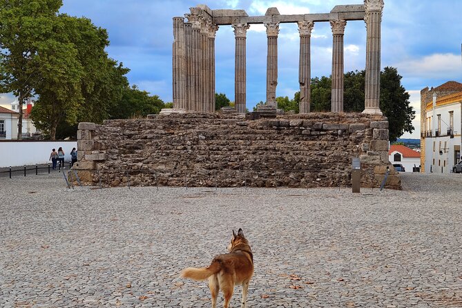 Private Évora Tour - Megaliths, Historical Center and Cork Region - Customer Support