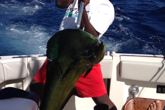 Private Fishing & Boat Cruising Charters in St Kitts and Nevis - Overview of Charters in St Kitts and Nevis