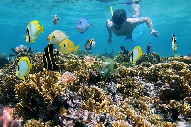 Private Full Day BVI Boat Charter Aboard MV Aquarius - Directions