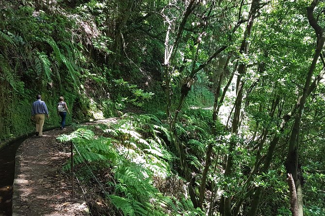 Private Guided Walk Levada Do Rei - The Sum Up