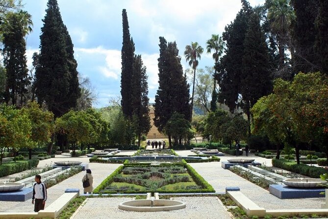 Private Guided Walking Tour of the Fez Medina - Tour Operator