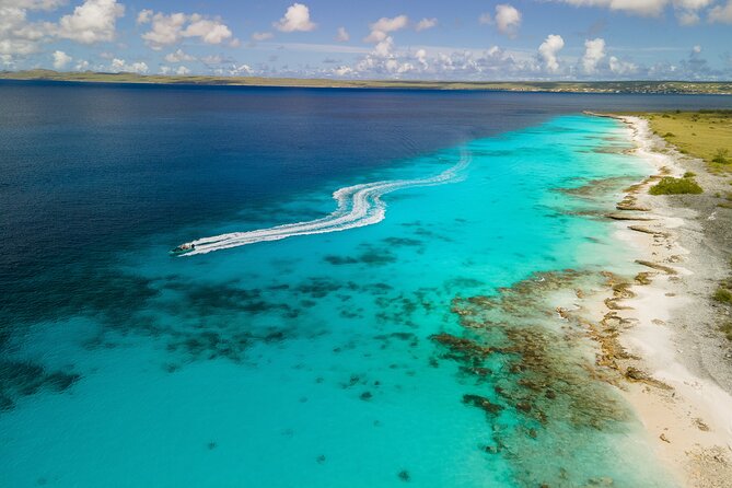 Private Half Day REVOLVE Boat Tour in Bonaire - Cancellation Policy