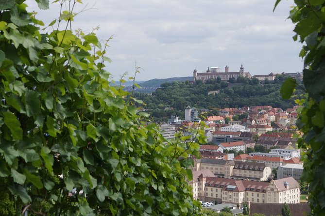 Private Mulled Wine Tour in Würzburg - Meeting and Pickup
