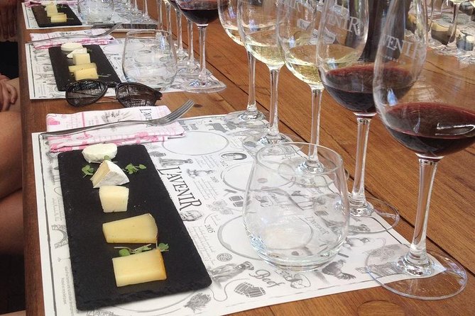 Private Package to Finest Vineyards - Stellenbosch Pickup - Appointments With Owners and Winemakers