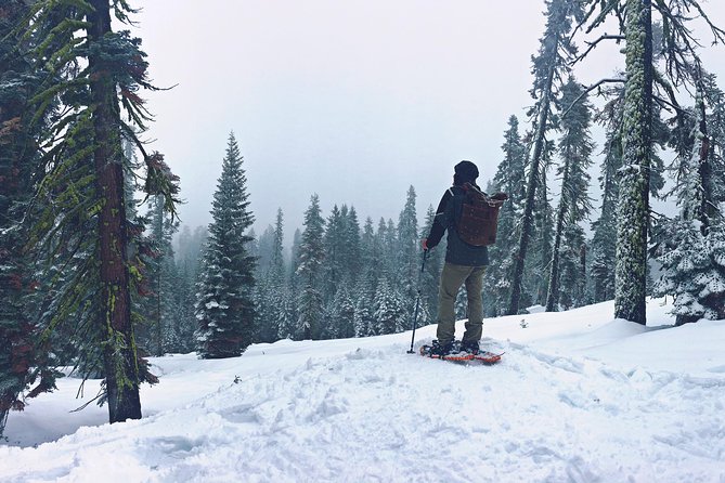 Private Snowshoeing Adventure From Badger Pass to Dewey Point - Inclusions and Requirements