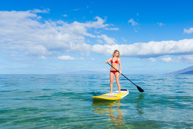 Private Stand Up Paddling Lesson in Makena - Flexibility and Accessibility
