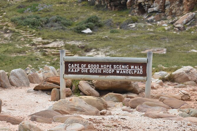 Private Tour Cape of Good Hope & Penguins Sightseeing Full Day - Wildlife Spotting Opportunities