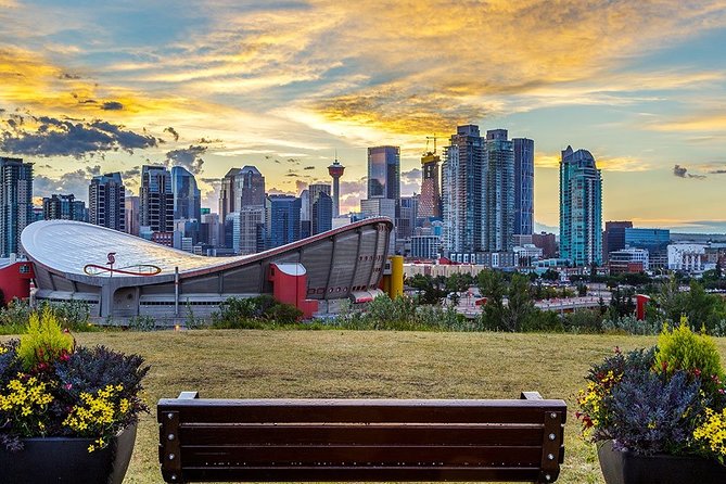 Private Transfer From Calgary to Calgary Airport YYC in Luxury Van - Pickup Details and Assistance Provided