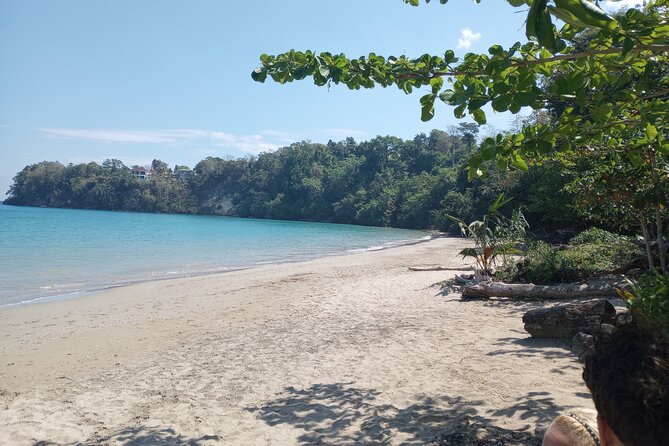 Private Transport to Dunns River/ Blue Hole/ Horseback Riding - Questions and Help