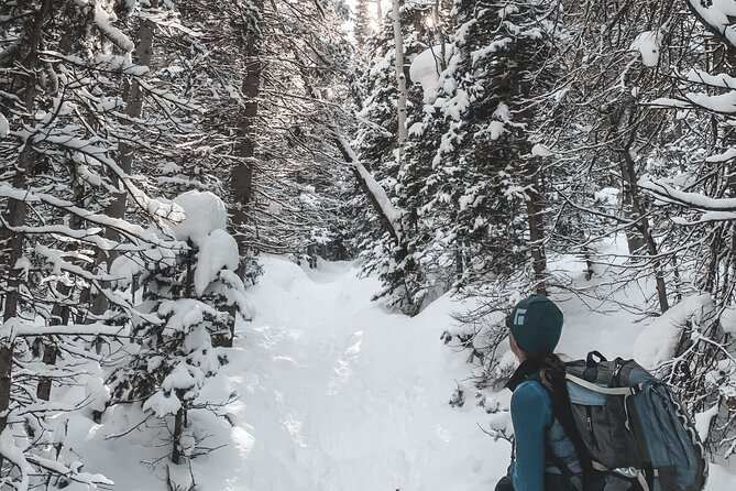 Privately Guided Snowshoe Experience - Overview of the Snowshoe Experience