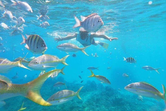 Puerto Plata Half-Day Golden Beach Tour  - Dominican Republic - Pickup Points for the Tour