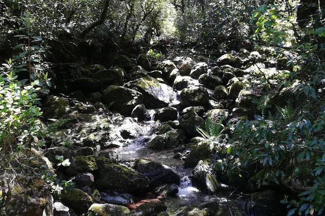 Queimadas-Caldeirão Verde - Tips for a Memorable Visit