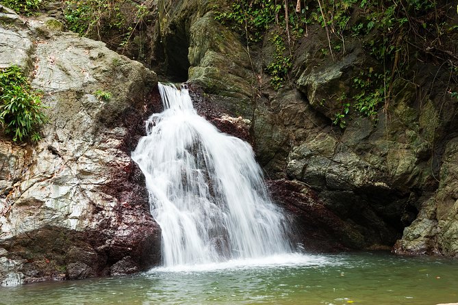 Rainforest Tour - Meeting and Pickup Details