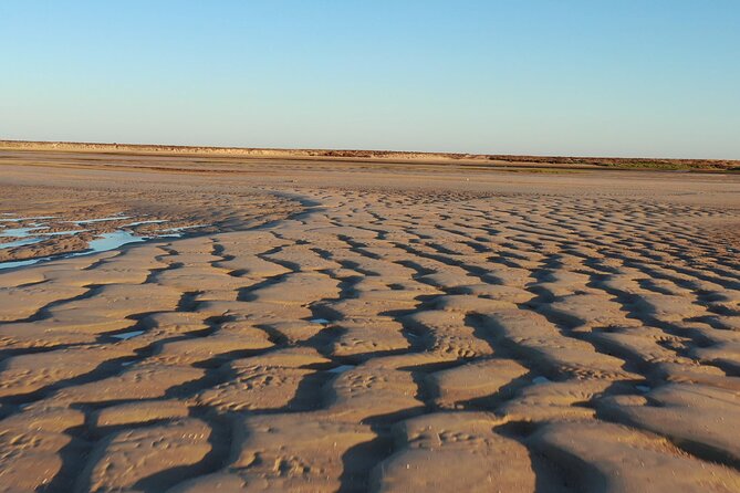 Ria Formosa & Islands : 2h00 Private Tour of Ria Formosa - Tour Highlights