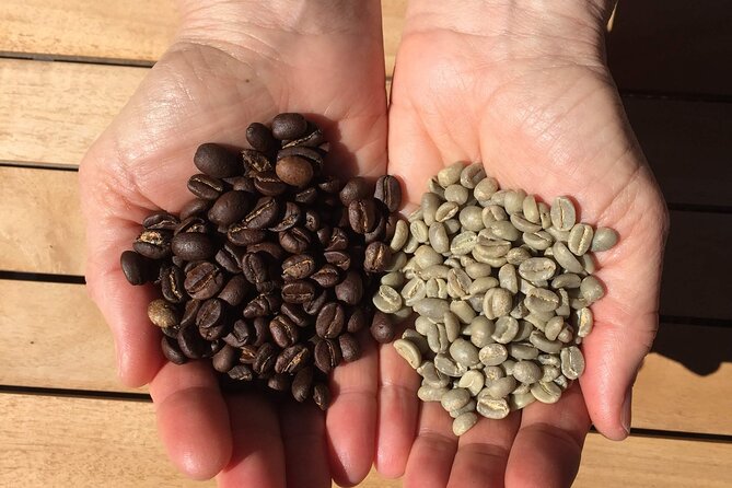 Roast Your Own Coffee - Hands-on Coffee Roasting Experience